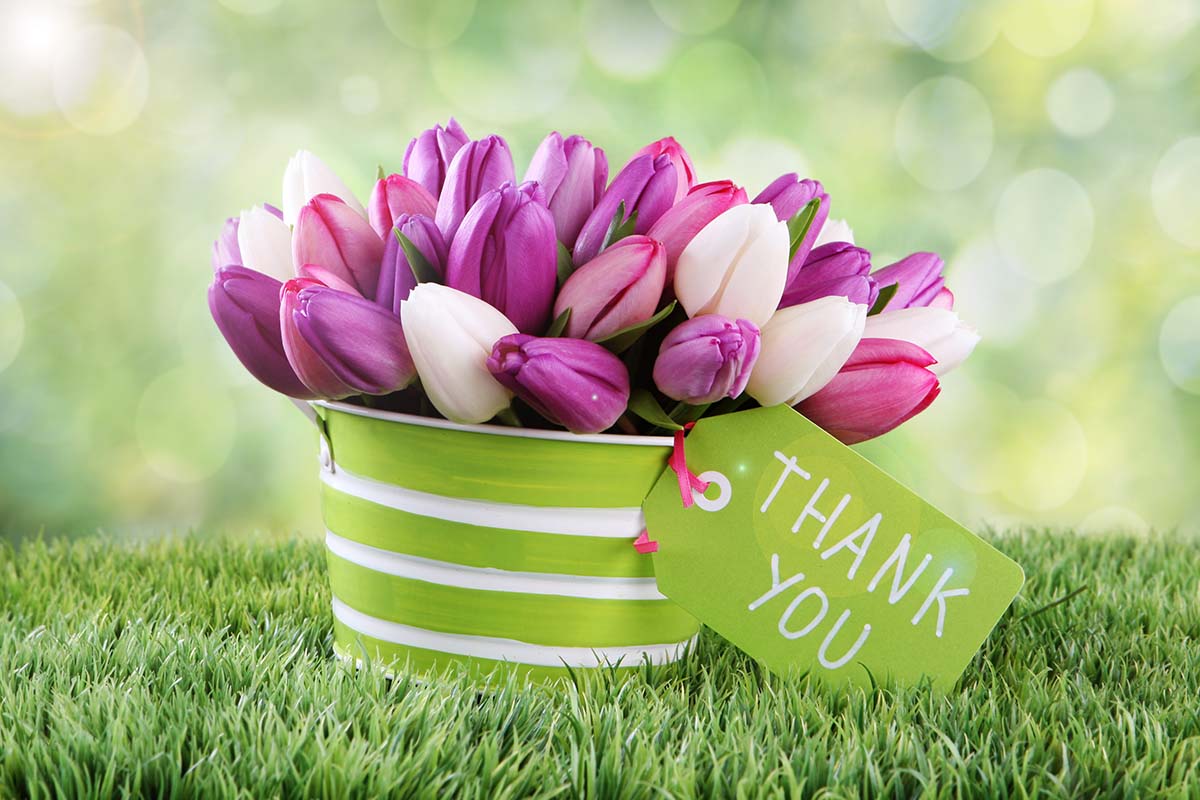 Thank you from Patient Care Intervention Center Thank you from Patient Care Intervention Center